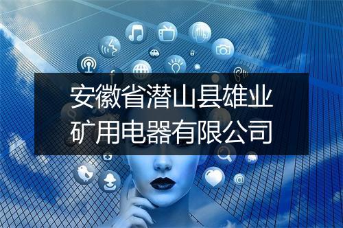 安徽省潜山县雄业矿用电器有限公司
