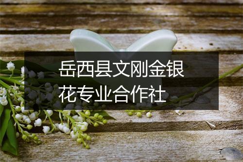 岳西县文刚金银花专业合作社
