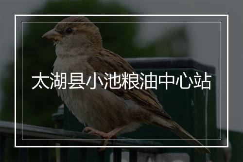 太湖县小池粮油中心站