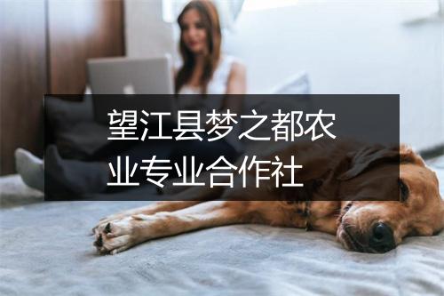望江县梦之都农业专业合作社